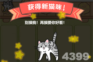 博猫平台登录网址评测