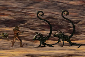 355手机彩票APP下载相关推荐1