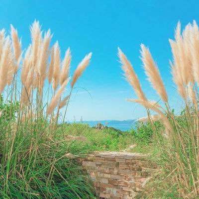 “零距离”见证民主决策（连线）