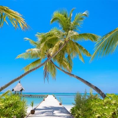 育儿补贴之后，还有一场真正的“硬仗”