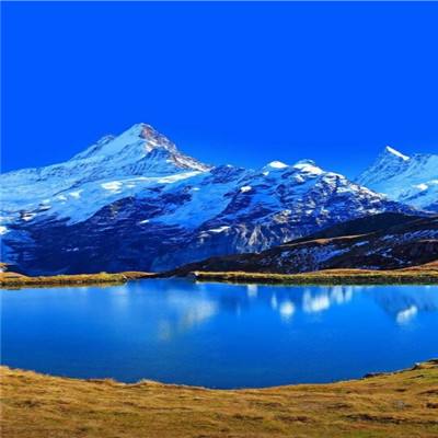 “大思政课”激发青年争当“行动者”