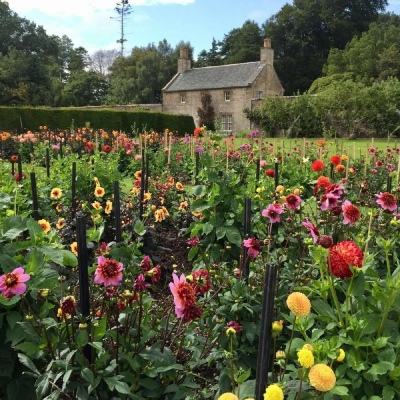 365BEST体育APP下载截图2