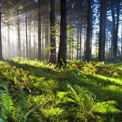 新破天一剑手游官方版