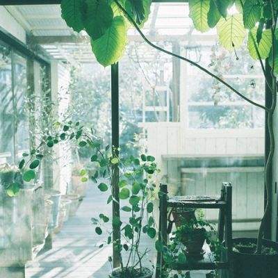 杨丽萍男舞伴从39楼一跃而下，年仅44岁！曾在春晚表演孔雀舞，离世原因催人泪下