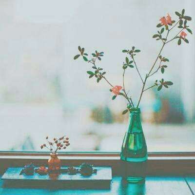 动物欢乐多破解版下载