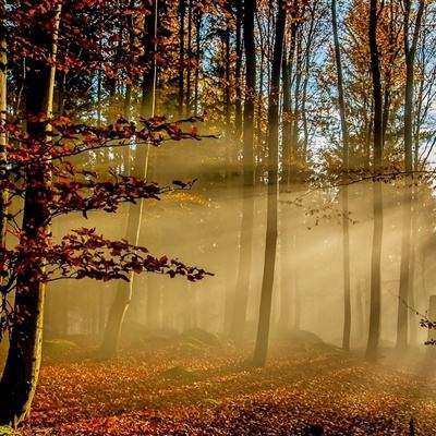 d88尊龙官方入口相关推荐1