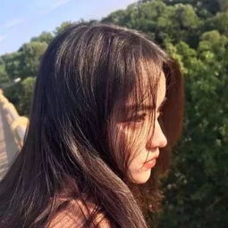 381818小白准确资料06528