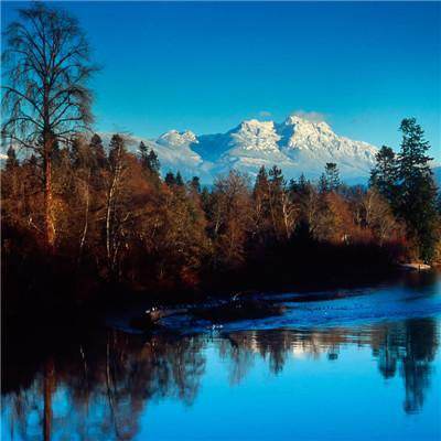 竹白再见，其他联系渠道