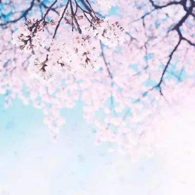 恭喜町洋 0290 系列端子!你的录...