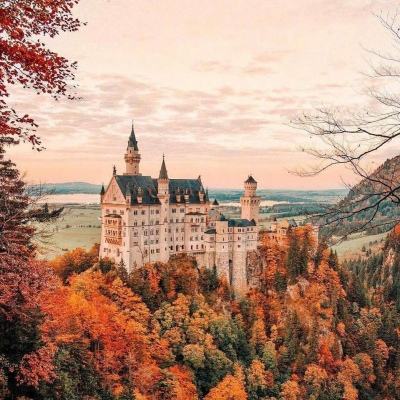 金沙乐娱场·官方网站