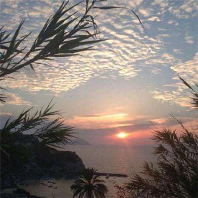 lol竞猜平台app下载