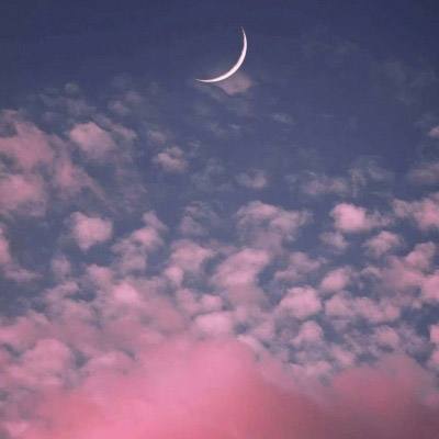 国家卫星气象中心副主任毛冬艳履新辽宁省气象局局长