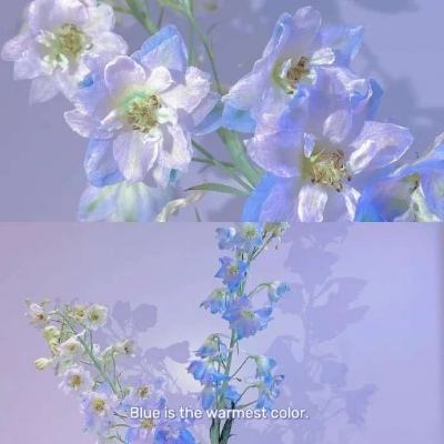 沉浸式导览剧讲述红色历史——与“守常先生”共赴信仰课堂