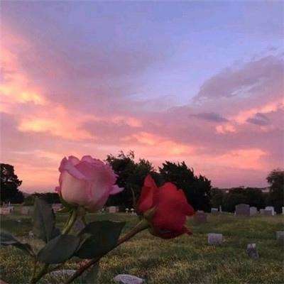 中国物流业景气指数继续保持扩张