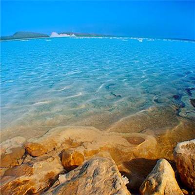 盛夏美食诱惑，可以这样保护味蕾