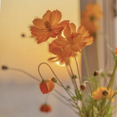 d88尊龙官方入口相关推荐1