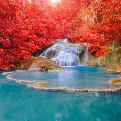 中国留学生在新西兰频遭袭 警方:并非针对亚裔