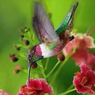 人民论坛｜功成不必在我、功成必定有我