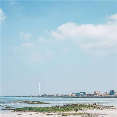 EA真人游戏官方官网