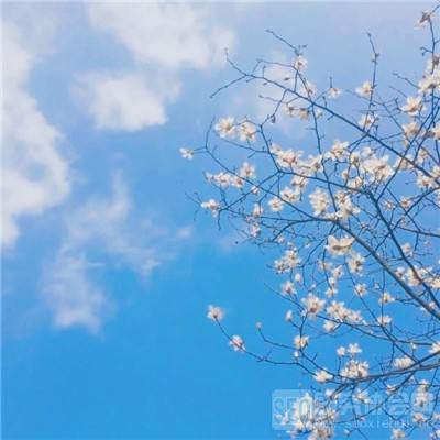 空战争锋无限金币无限钻石版