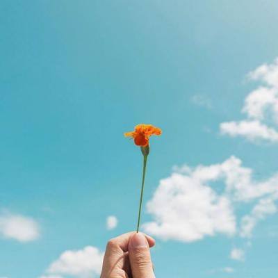 “中伏不补，秋冬受苦”！中伏后，建议多吃这3样，健脾祛湿、补阳气，安稳度夏！