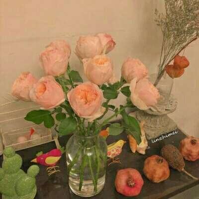 金沙新网址截图