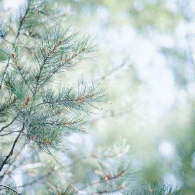 hg皇冠体育官方入口地址