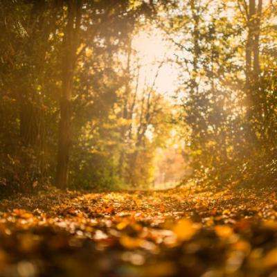 看川剧品文化 跟着川剧游四川