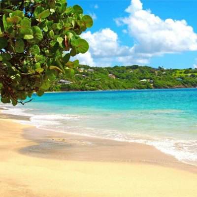 天博tb官网链接