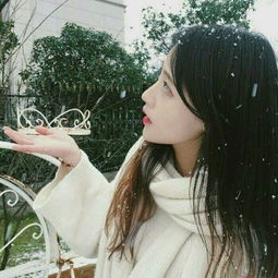 8208彩票官方网网页版