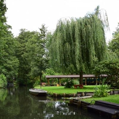 光大彩票老品牌高品质截图0