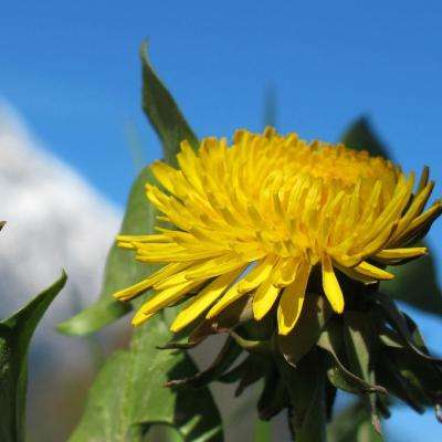 人民网三评“社会性死亡”之二:谁是补刀者?