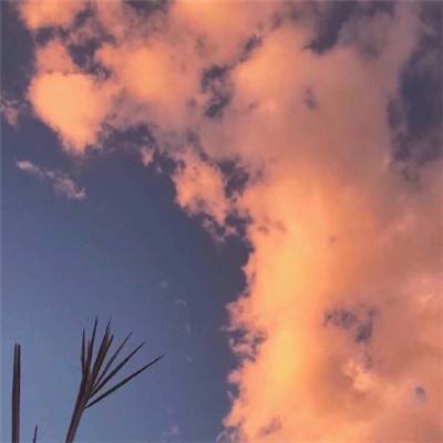 伊朗最高领袖：完全放弃铀浓缩“百分之百”违背伊朗利益