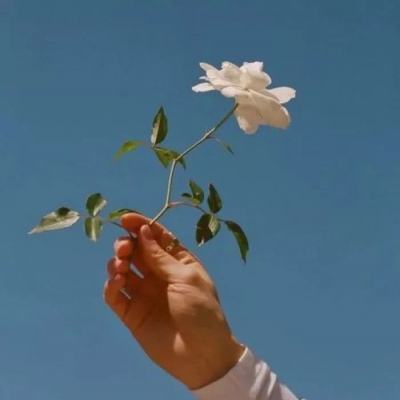 受美国关税政策影响 马自达二季度陷入巨亏