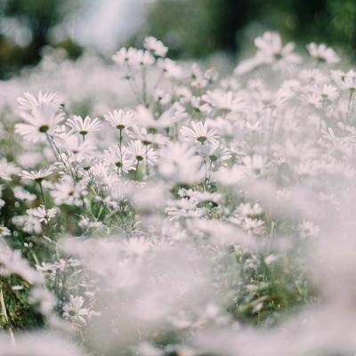 南京公交尝试“白天拉客晚上拉货”，这种方式能多大程度自救？适合全国推广吗？