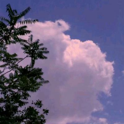 主办方辟谣王俊凯上海演唱会不实信息