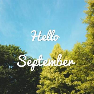 BAT365BET安装正版最新版v8.0.3.4截图1