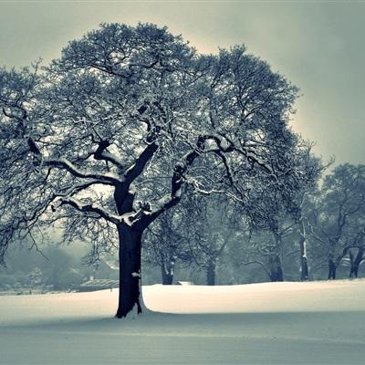 亚洲制药股下跌 因特朗普表示医药关税即将出台