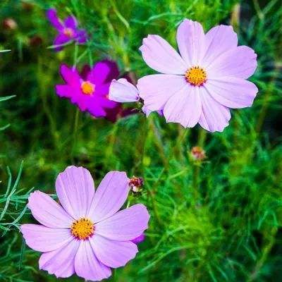 红帆领航奋楫逐浪