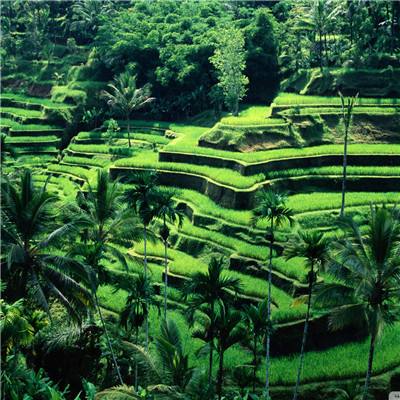 回应家长关切 中医药为儿童青少年健康护航