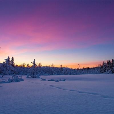 理想车主，咋就成了全网头号通缉对象？？？