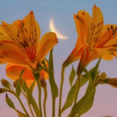 德国新总理的涉华表态,为何比往届更谨慎?