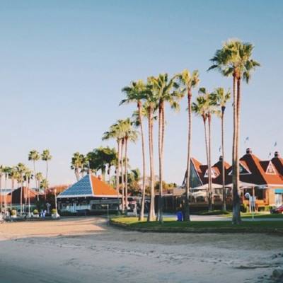 高盛：美企承担了约五分之三的关税成本