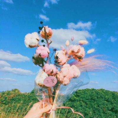 从多维度解析 “两个确立” 的决定性意义