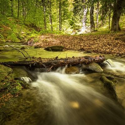 太姥姥不慎摔倒 三个萌娃秒救援