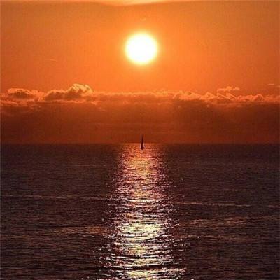 俄外交部:俄方就外交车辆受袭事件向以色列提出交涉