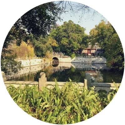 芝华仕荣膺亚洲品牌500强