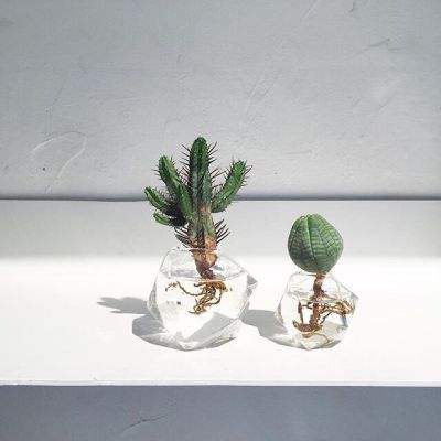 暴跌80%！大街小巷都有，春节前大量上市！网友：早买亏大了