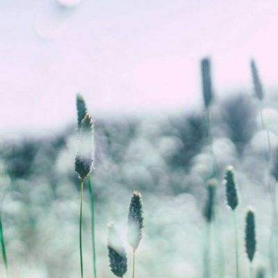 “动态管理,科学防疫” 就地过新年 护航回家路