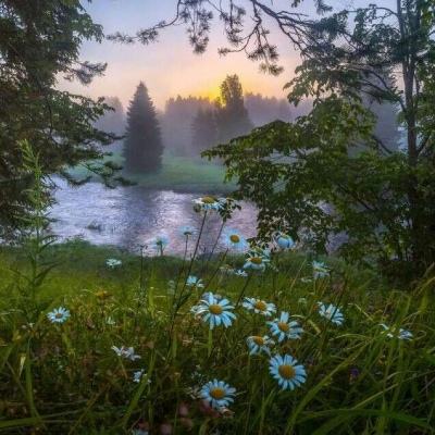 斗球体育官方网址